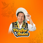 Picaflor de Los Andes