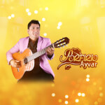 Porfirio Ayvar