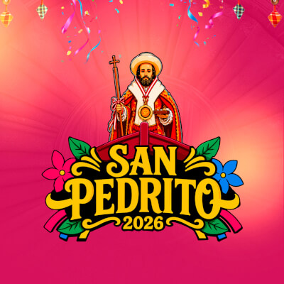 Artista Feria San Pedrito