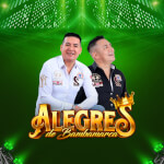 Alegres de Bambamarca